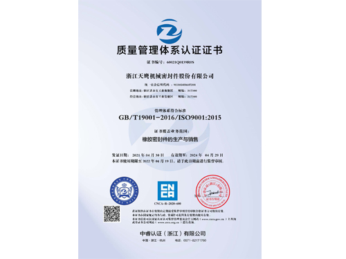 ISO9001質(zhì)量體系認證 中文